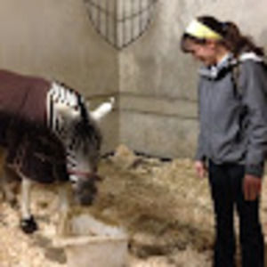 Meet your Posher, Emily